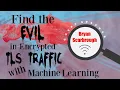 Finding the Evil in Encrypted TLS Traffic with Machine Learning