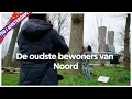 Download Lagu De Reuzen van Noord | Uit met... Dominique | Uit in Amsterdam
