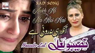 aankh hi na roi hai best of naseebo lal hi tech music