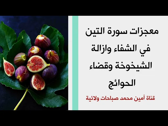 ⁣معجزات سورة التين في الشفاء وإزالة الشيخوخة وقضاء الحوائج