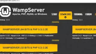 php tutorial for beginners 2 install php and wamp server