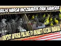 Download Lagu HARGA BURUNG MOZAMBIK DAN SANGER 2024 !!! BURUNG IMPORT AFRIKA SANGAT DIMINTAI DI INDONESIA