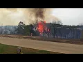 Cedar tree explodes in Retreat fire