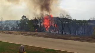 Cedar tree explodes in Retreat fire