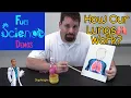 How Our Lungs Work