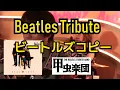 Download Lagu Real Love (The Beatles Cover)
