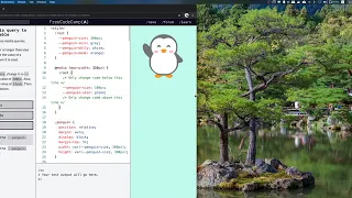 freeCodeCamp Use a media query to change a variable