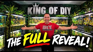 My ENTIRE Fish Room Has Changed… Full Aquarium Tour! The king of DIY FISH TANK BY FISHTANK reveal