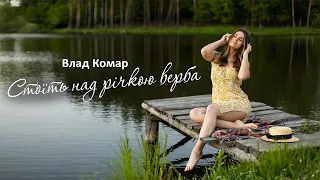 Влад Комар Стоїть над річкою верба 
