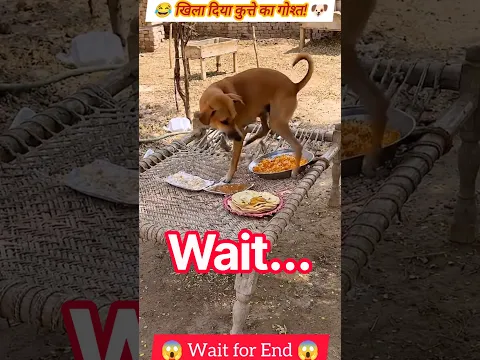 Khila Diya Kutte Ka Gosht 🐶🥩Wood working withart handcraft idea/home madereal telent/skill-art