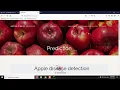 Apple Fruit Disease Detection using Deep Learning Python Machine Learning Final Year Project