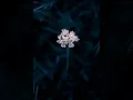 Ólafur Arnalds - Spiral