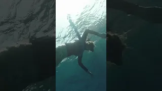 Snorkelling Palmarola