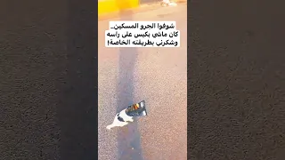 مشهد يكسر القلب جرو صغير ماشي بكيس على راسه شوفوا شكرني إزاي بعد ما أنقذته 