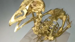 Esqueleto de POLLO maqueta ♻️