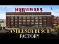 The Heartbreaking End of Anheuser-Busch Wall Street Foreign Greed Killed America s Beer Icon