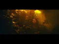 Dillon Francis, Skrillex - Bun Up the Dance (Video)