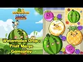 Watermelon Drop Fruit Merge High Score Gameplay