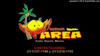 Download EL RUIDITO Y PELOTERO LA BOLA CON MAREA MUSICAL MP3