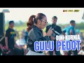 Download Lagu DINI KURNIA - GULU PEDOT | PEMUDA PAKISTAJI ANNIVERSARY KE 4 #dinikurnia #onepro #dangdut