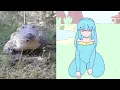 Download Lagu cute croc videos but it's animated