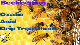 How to administer an Oxalic acid drip treatment to combat Varroa Mite