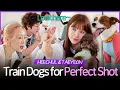 Download Lagu HEECHUL \u0026 TAEYEON TEACH Dogs How to POSE Like SJ \u0026 SNSD 🌟🌟🌟