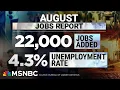 Download Lagu Dismal jobs report is a 'major red flag' for the U.S. economy