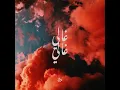 Ghali Ghali - Jawad Benissa