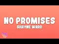 Download Lagu Shayne Ward - No Promises