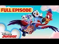 You ve Gotta Be Kitten Me Whale Hello There S1 E1 Full Episode T O T S disneyjr