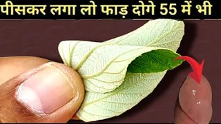 लगाते ही उ त्तेजना इतनी बढ़ जाती है कि खटिया टूट जाती है, इतना तेज पावरफूल हैं ये  