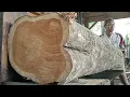 Lagu The process of sawing large, beautiful, and most expensive teak wood for furniture materials 
