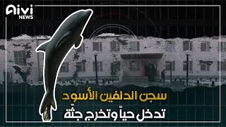 سجن الدولفين الأسود اخطر سجن بالعالم لم يخرج منه اي سجين 