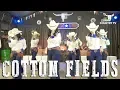 Download Lagu Alabama Linedance - Cotton Field