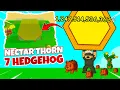 Download Lagu BESAR DAN MAHAL BANGET !! 7 HEDGEHOG DAN NECTAR THORN METHOD Grow A Garden