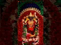 Download Lagu #joi ma kali 🌺🌺🙏