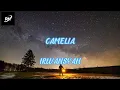 Download Lagu CAMELIA - IRWANSYAH - ANDRE MASTIJAN COVER