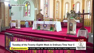 Tuesday Of The Twenty Eighth Week In Ordinary Time Year C 14th October 2025  Tuesday Of The Twenty Eighth Week In Ordinary Time Year C 14th October 2025