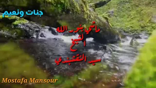 أروع ابتهال للشيخ سيد النقشبندي   ماشي بنور الله دندنها