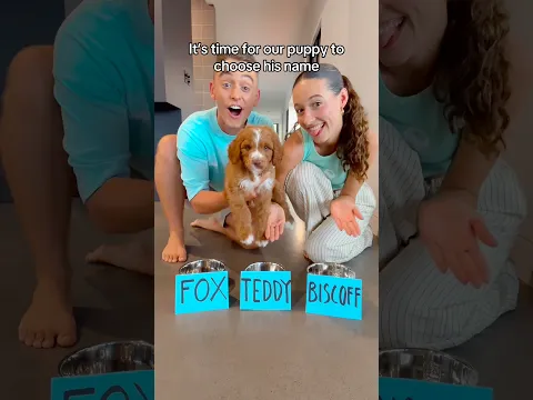 Puppy chooses his forever name! 🐶😭 #shorts #puppy