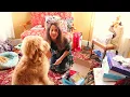Bark Box Unboxing on Christmas Morning with Leo 2017