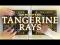 Download Lagu Kaskobi \u0026 Sophie play: Zedd \u0026 Ellis - TANGERINE RAYS