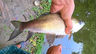 Good Fish Catching Kolkata Fishing