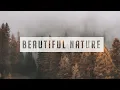 Text Effect using css mix blend mode Quick css tips and tricks