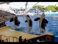 Download Lagu Loro Park (Loro Parque)