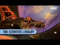 Cerritos Library is one of the most unique and immersive libraries in the world