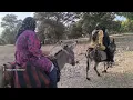 The Day Our Village Outing Turned Into a Fight for Survival | Iran Village Life