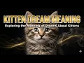 Dream Interpretation Kitten Exploring the Meaning of Dreams About Kittens