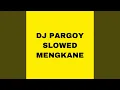 Download Lagu Dj Pargoy Slowed Mengkane